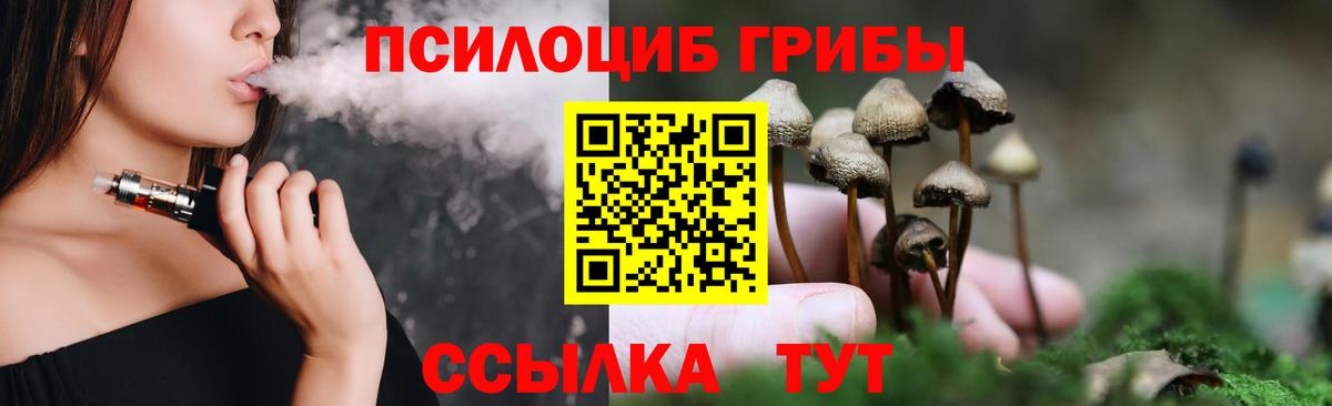 Галлюциногенные грибы Psilocybine cubensis Тамбов